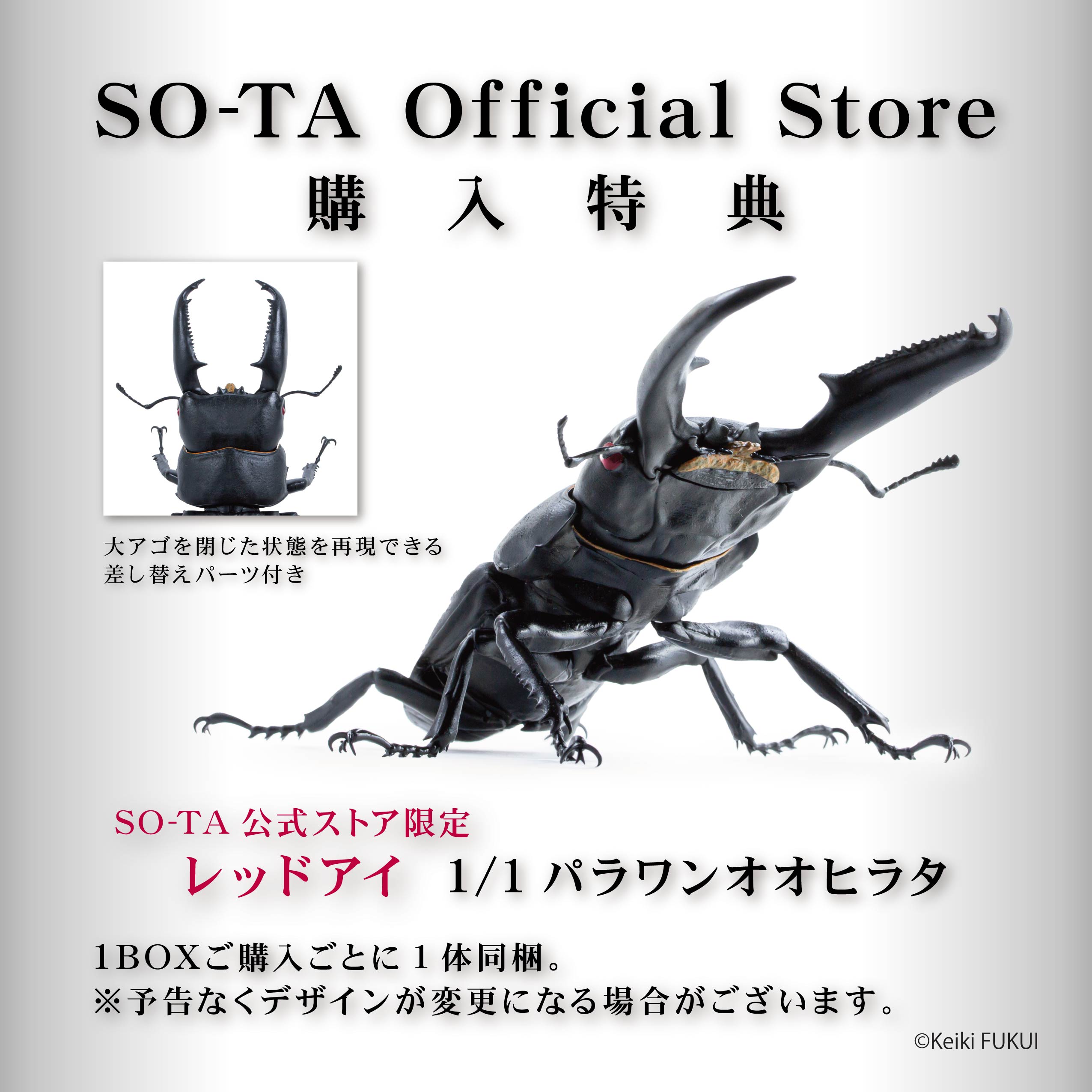 【予約受付終了】アニマリエコレクション 1/1オオヒラタクワガタ【1BOX/4個入】《予約:2024年6月下旬発送予定》