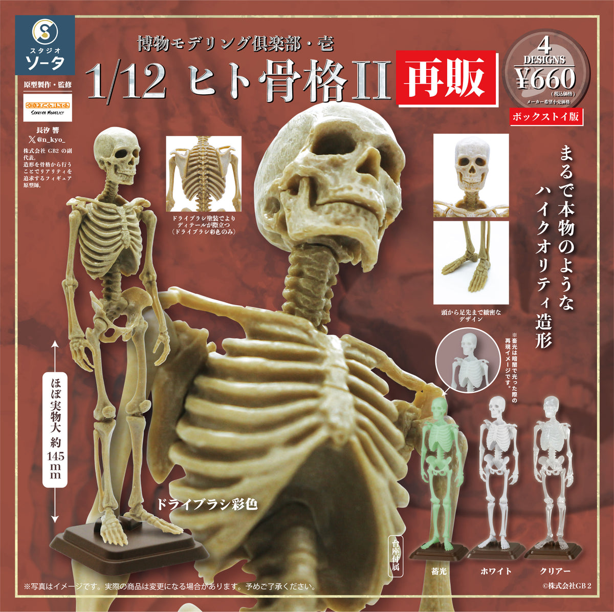 【予約受付中】博物モデリング倶楽部・壱 1/12ヒト骨格Ⅱ(再販)【1BOX/4個入】《予約:2027年3月下旬発送予定》