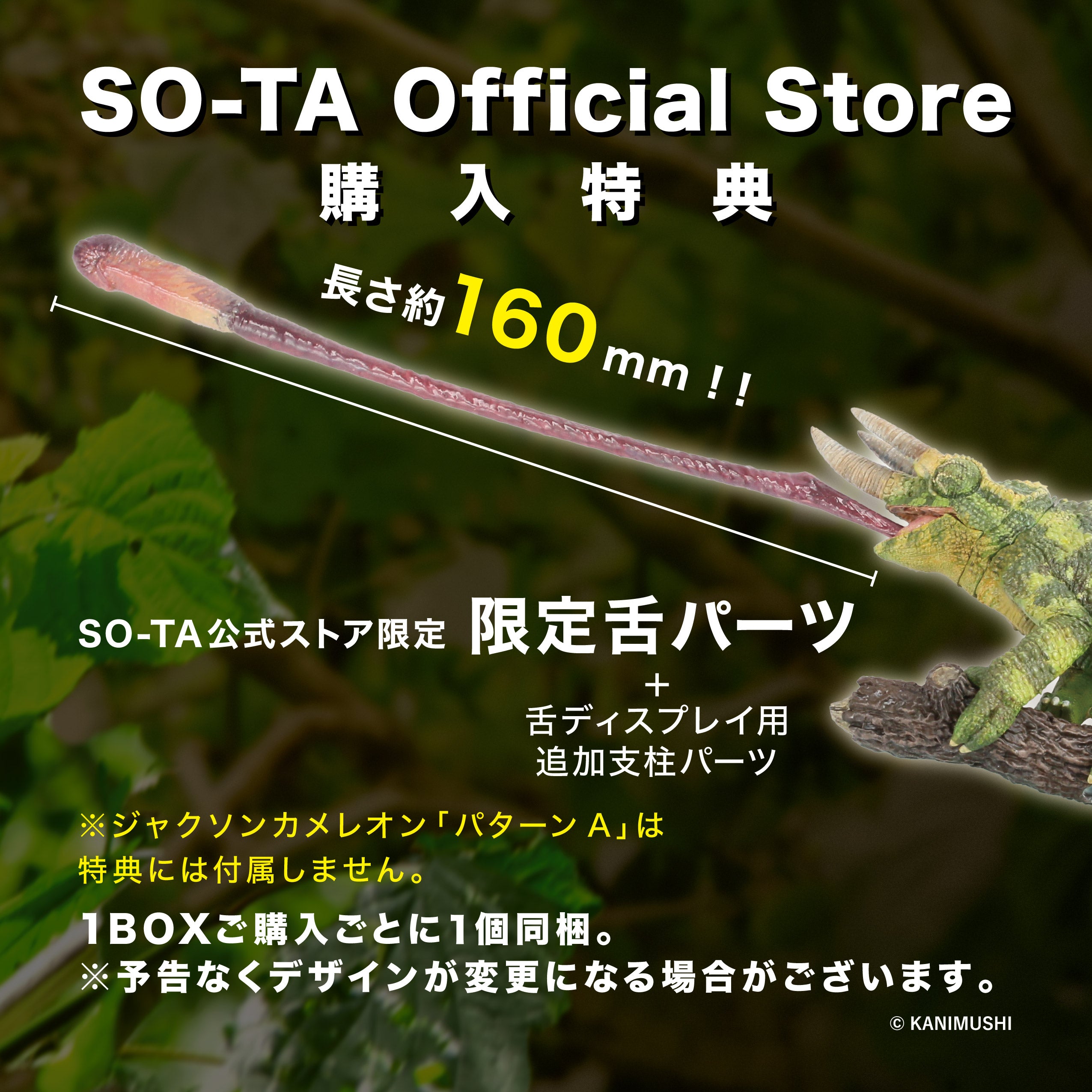 【予約受付終了】アニマリエコレクション ジャクソンカメレオン【1BOX/4個入】《予約:2024年8月下旬発送予定》