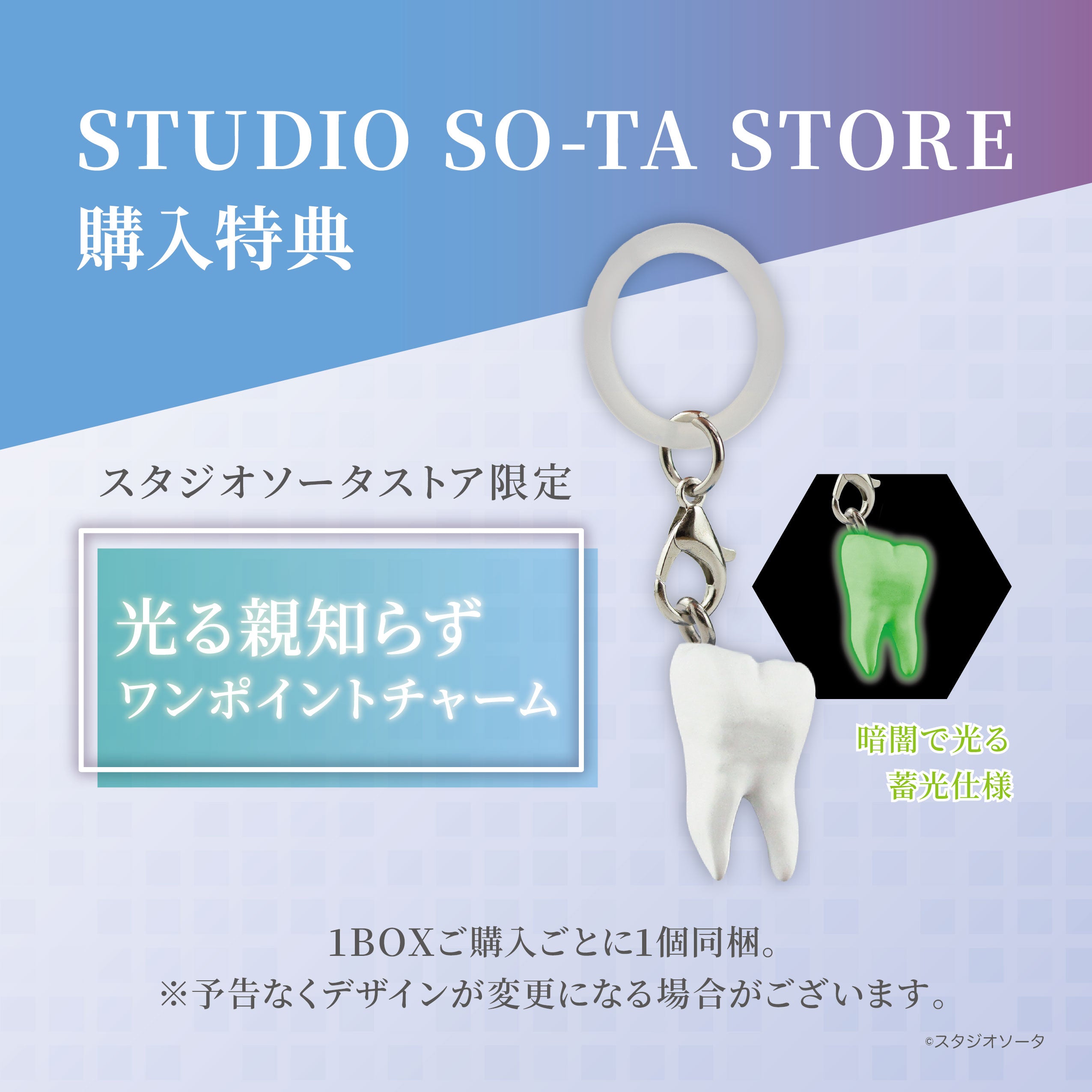 【予約受付中】ミニチュア歯の模型【1BOX/4個入】《予約:2026年12月下旬発送予定》