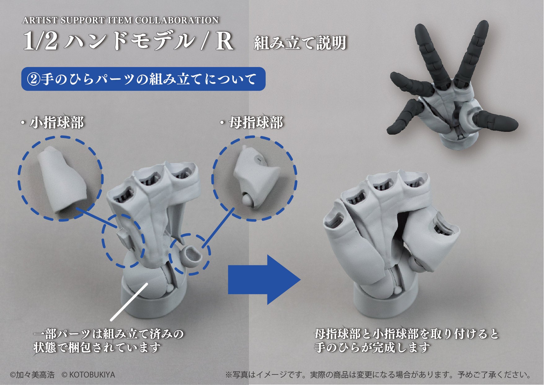 【予約受付終了】ARTIST SUPPORT ITEM COLLABORATION 1/2 ハンドモデル / R【1BOX/2個入】《予約:2025年1月下旬発送予定》