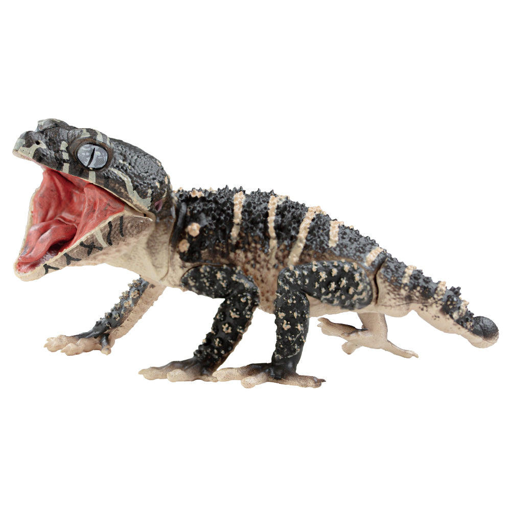 【予約受付中】1/1オニタマオヤモリ&アルマジロトカゲ Best Selection【1BOX/4個入】《予約:2026年8月下旬発送予定》