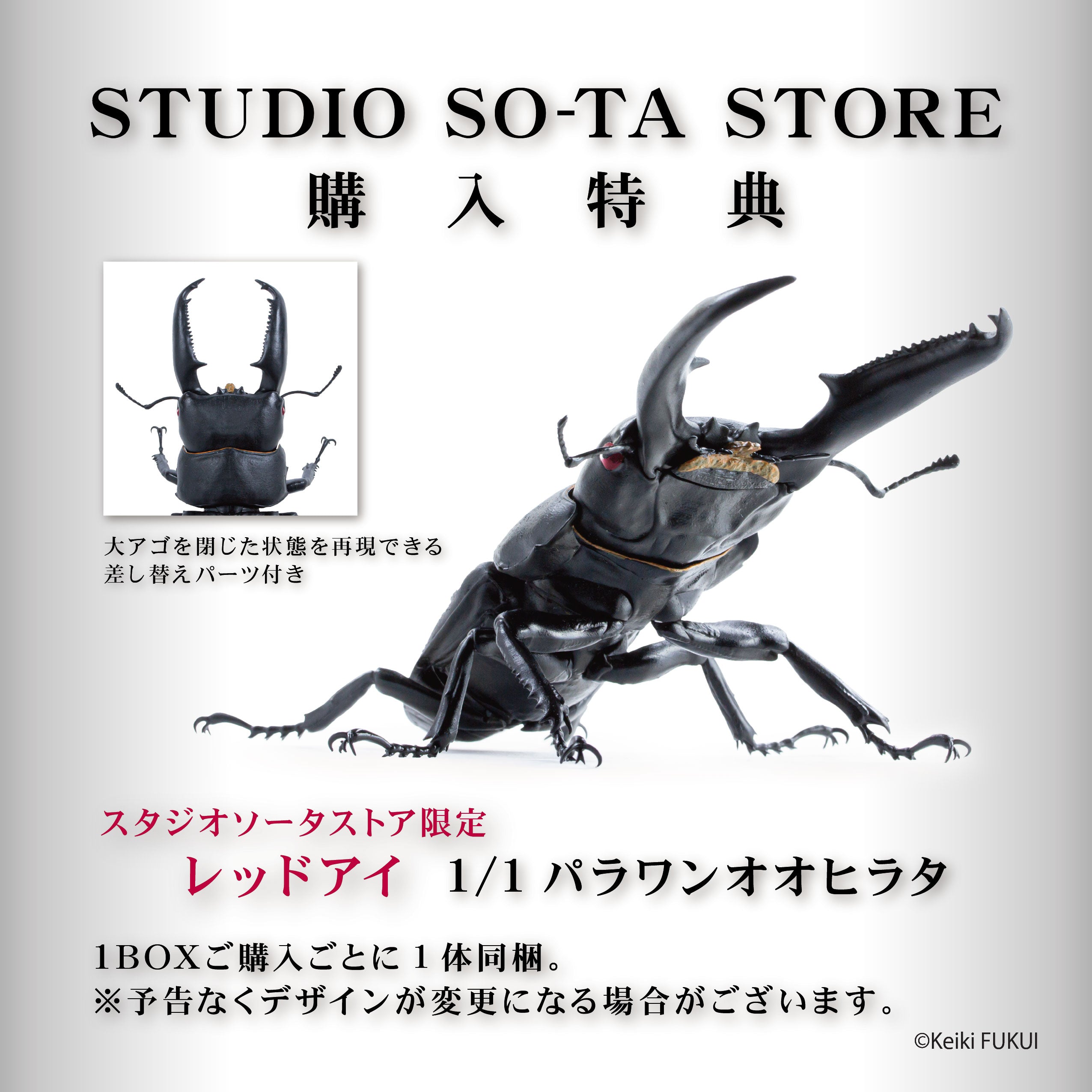 【予約受付終了】アニマリエコレクション 1/1オオヒラタクワガタ(再販)【1BOX/4個入】《予約:2025年6月下旬発送予定》