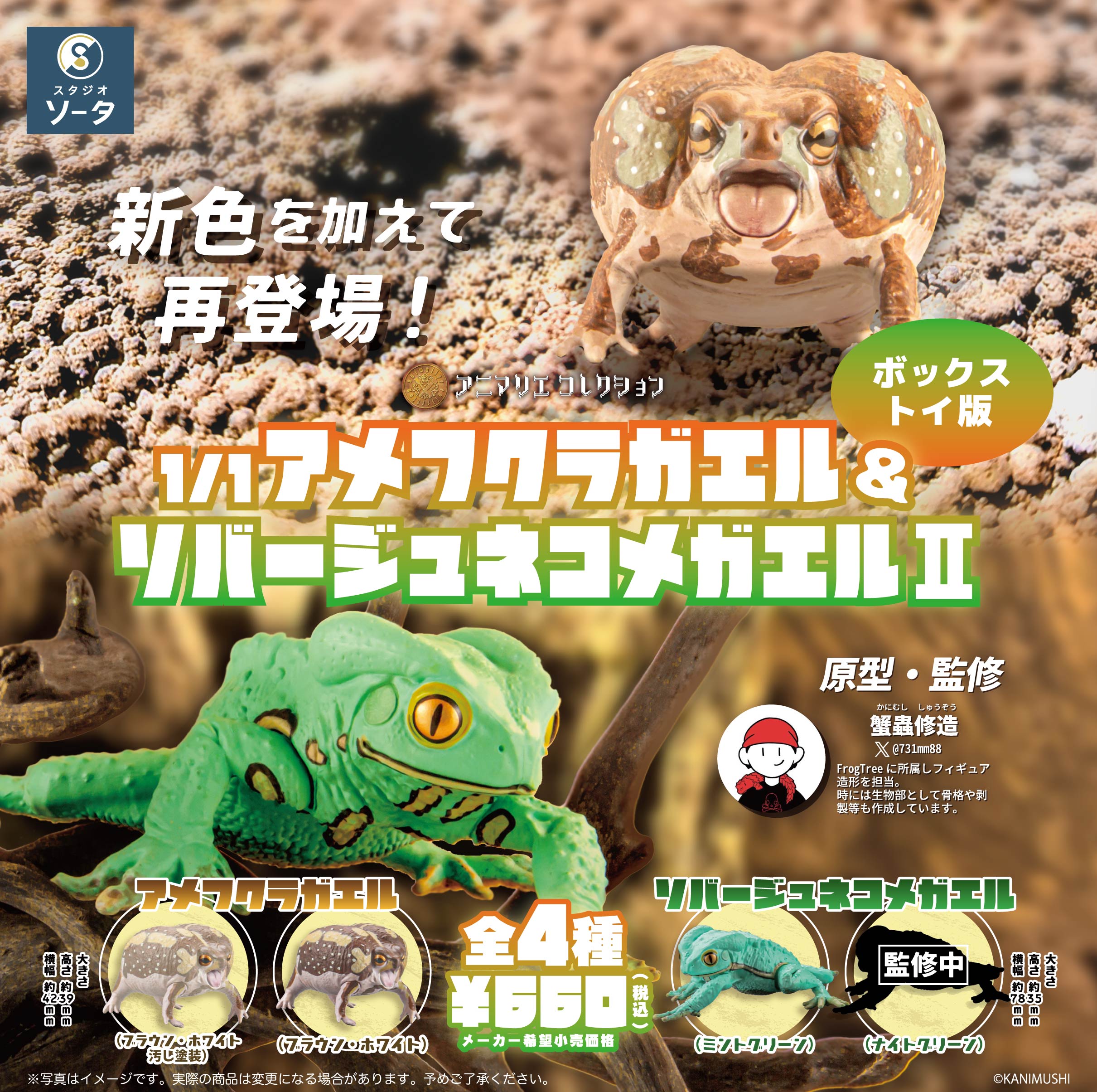 【予約受付終了】1/1アメフクラガエル&ソバージュネコメガエルⅡ 【1BOX/4個入】《予約:2024年2月下旬発送予定》