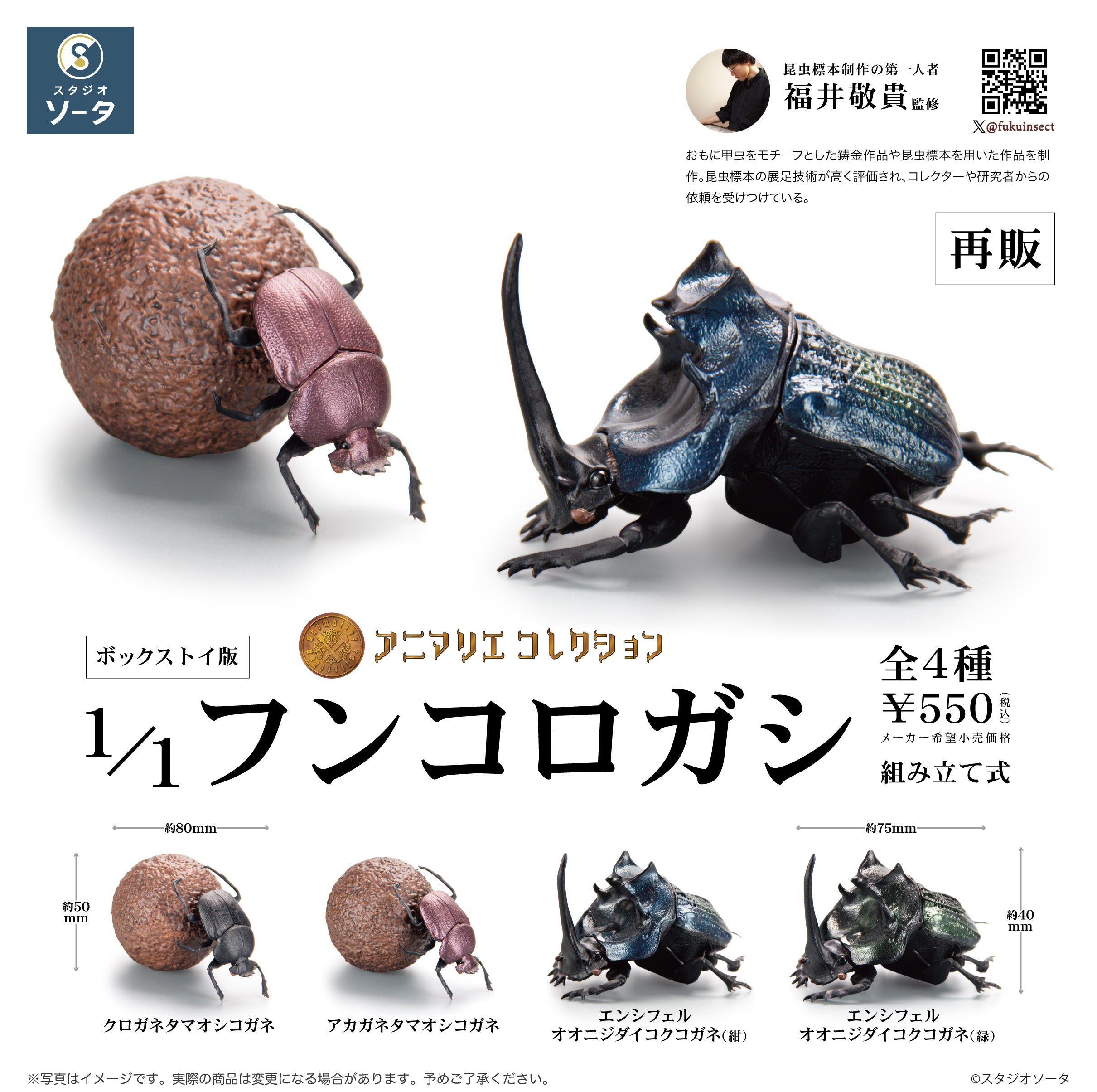 【予約受付終了】アニマリエコレクション 1/1 フンコロガシ(再販)【1BOX/4個入】《予約:2024年7月下旬発送予定》