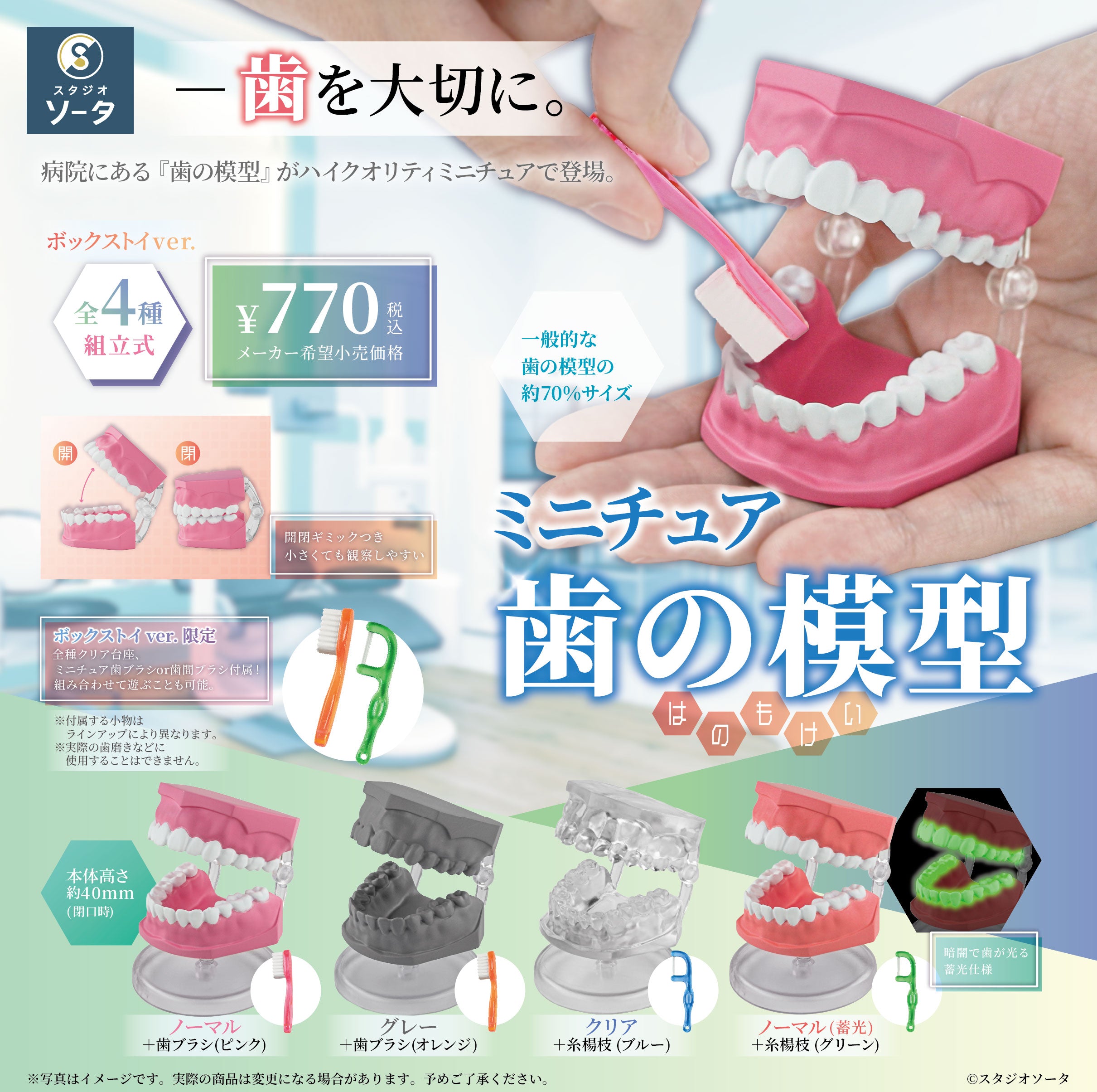 【予約受付中】ミニチュア歯の模型【1BOX/4個入】《予約:2026年12月下旬発送予定》