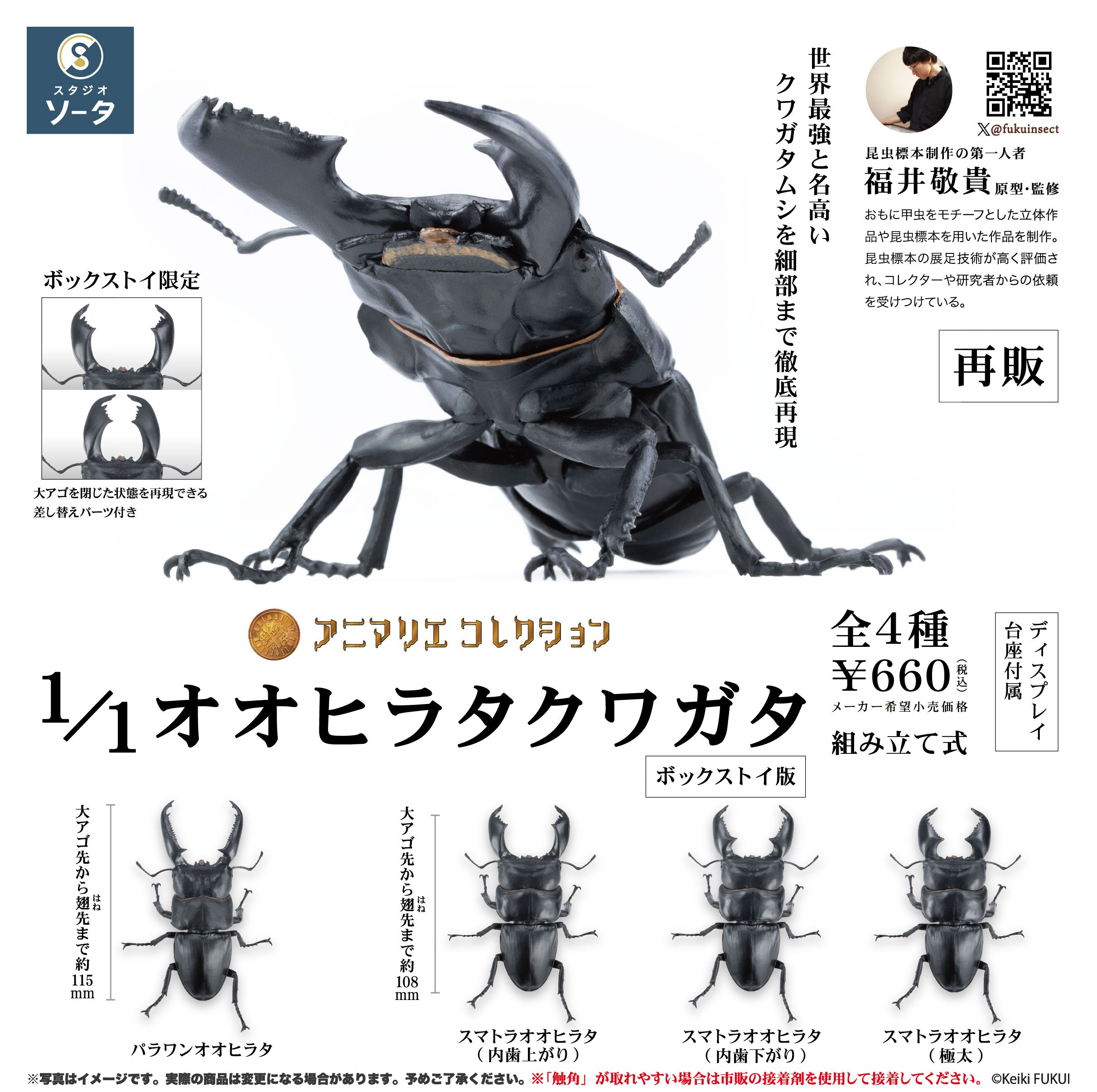 予約受付中】アニマリエコレクション 1/1オオヒラタクワガタ(再販