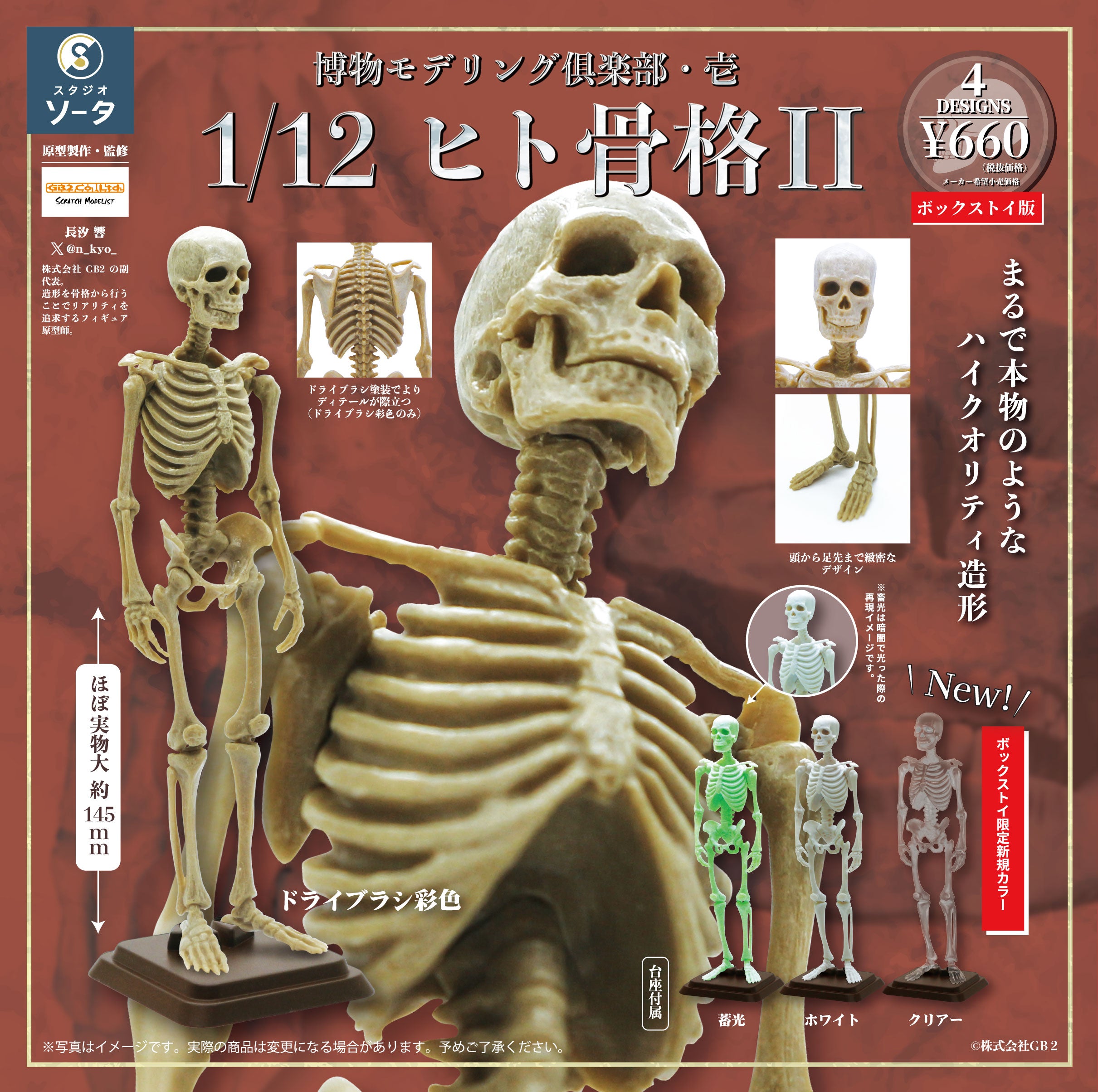 【予約受付終了】博物モデリング倶楽部・壱 1/12ヒト骨格Ⅱ【1BOX/4個入】《予約:2025年8月下旬発送予定》