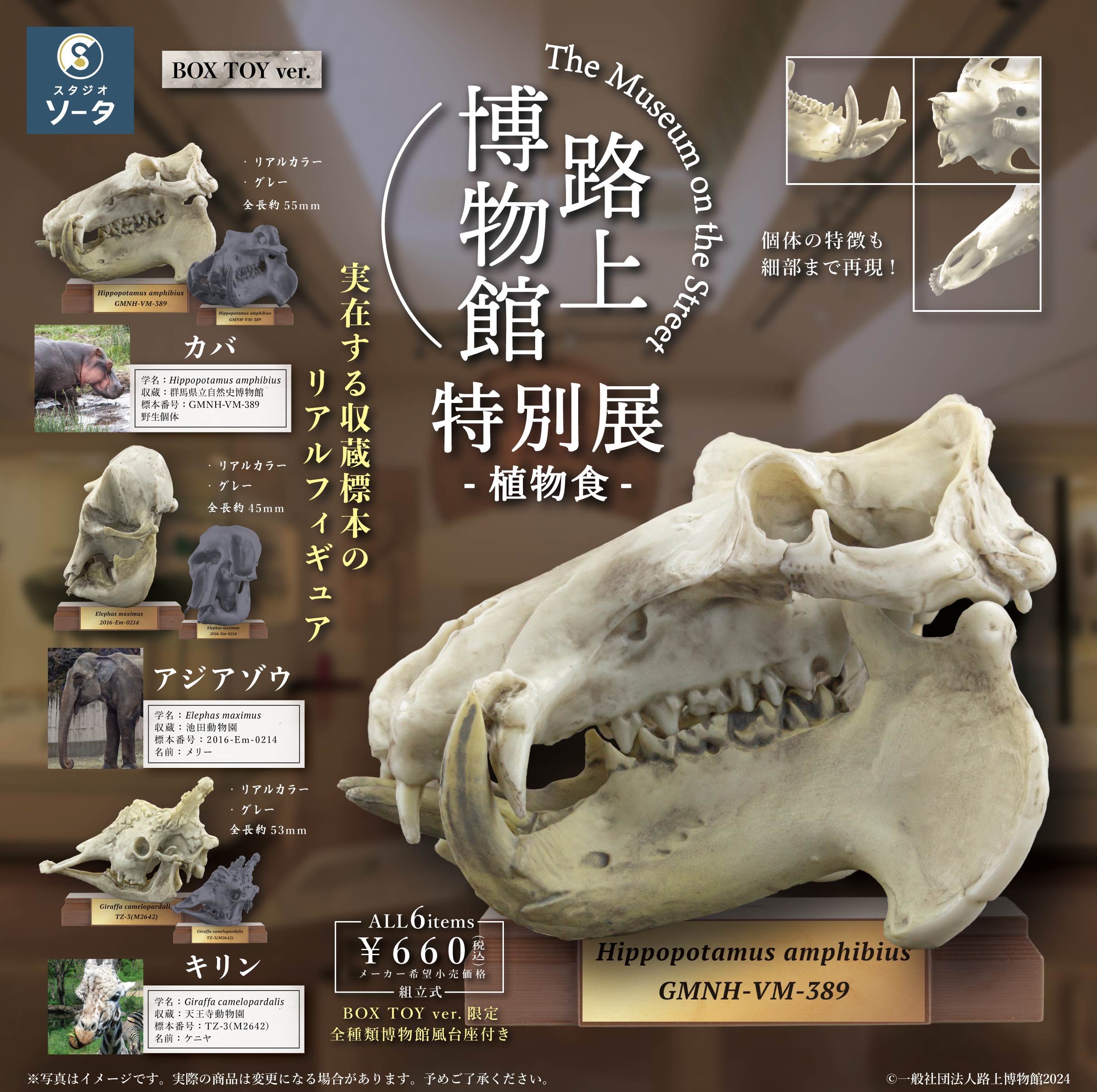 【予約受付終了】路上博物館 特別展-植物食-【1BOX/6個入】《予約:2024年4月下旬発送予定》