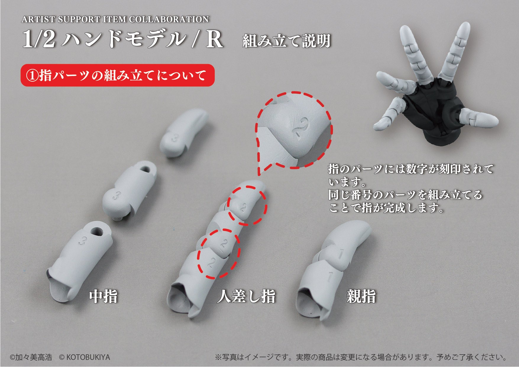 【予約受付終了】ARTIST SUPPORT ITEM COLLABORATION 1/2 ハンドモデル / R【1BOX/2個入】《予約:2025年1月下旬発送予定》