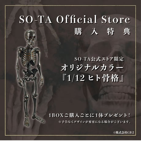 【予約受付終了】【4個入りパック】【再販】博物モデリング俱楽部・壱 1/12ヒト骨格《予約:2023年1月下旬発売予定》