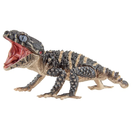 【予約受付終了】アニマリエコレクション 1/1 タマオヤモリ&アルマジロトカゲ (再販)【1BOX/4個入】《予約:2024年4月下旬発送予定》