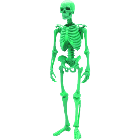 【予約受付終了】【4個入りパック】【再販】博物モデリング俱楽部・壱 1/12ヒト骨格《予約:2023年1月下旬発売予定》