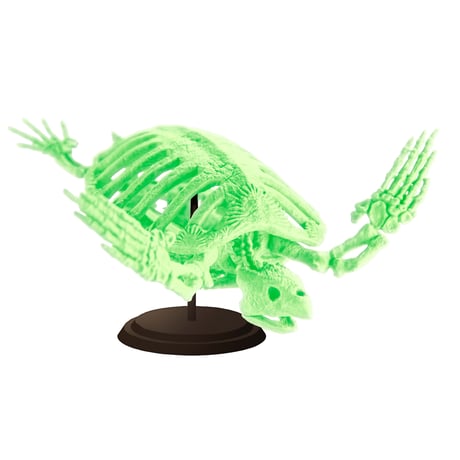 【予約受付終了】【4個入りパック】博物モデリング倶楽部・弐 1/35 アーケロン骨格《予約:2022年10月下旬発送予定》