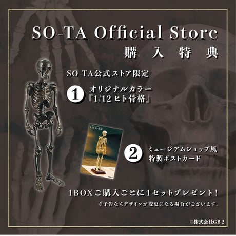 【予約受付終了】博物モデリング俱楽部・壱 1/12ヒト骨格 (再販) 【1BOX/4個入】《予約:2024年3月下旬発売予定》