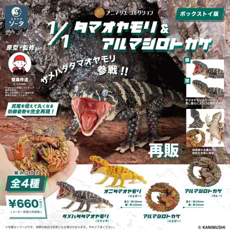 【予約受付終了】アニマリエコレクション 1/1 タマオヤモリ&アルマジロトカゲ (再販)【1BOX/4個入】《予約:2024年4月下旬発送予定》