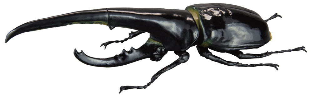 【予約受付終了】1/1ヘラクレスオオカブト【1BOX/4個入】《予約:2025年5月下旬発送予定》