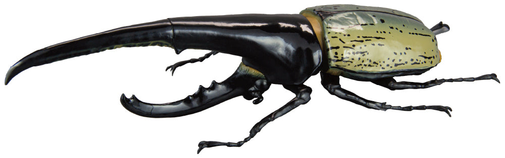 【予約受付終了】1/1ヘラクレスオオカブト【1BOX/4個入】《予約:2025年5月下旬発送予定》