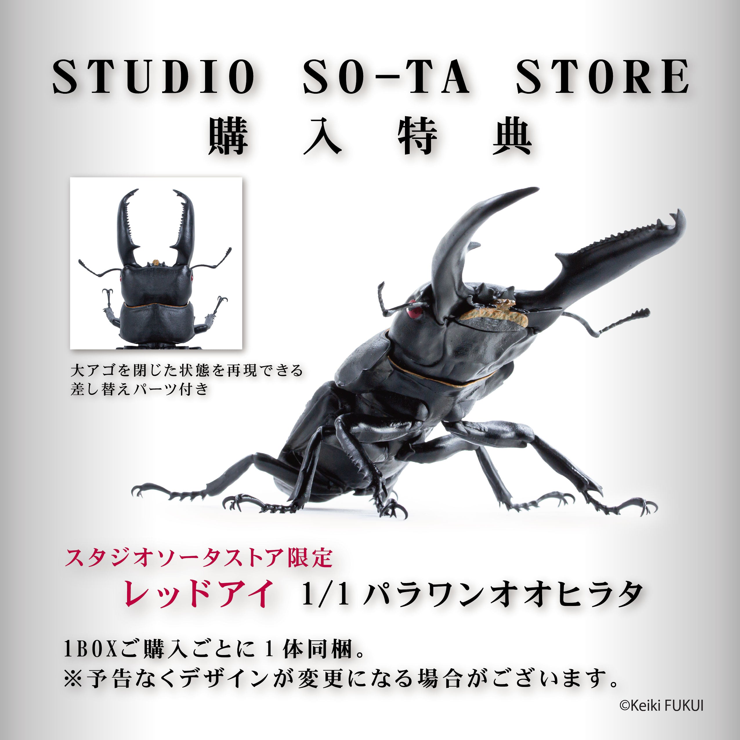 【予約受付中】アニマリエコレクション 1/1オオヒラタクワガタ(再販)【1BOX／4個入】《予約：2026年6月下旬発送予定》