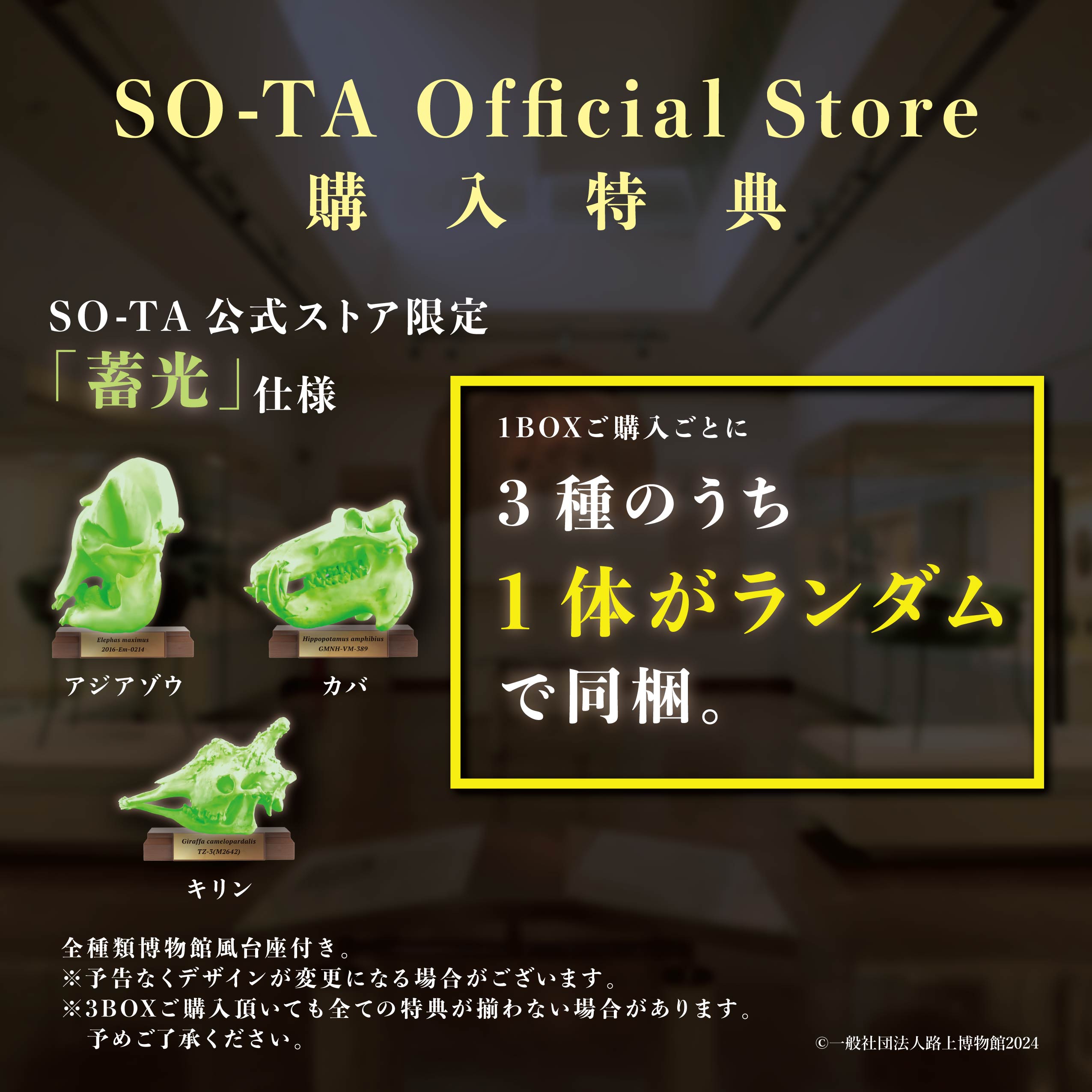 【予約受付終了】路上博物館 特別展－植物食－【1BOX／6個入】《予約：2024年4月下旬発送予定》