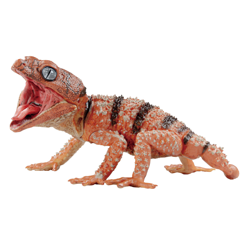 【予約受付中】1/1オニタマオヤモリ&アルマジロトカゲ Best Selection【1BOX／4個入】《予約：2026年8月下旬発送予定》