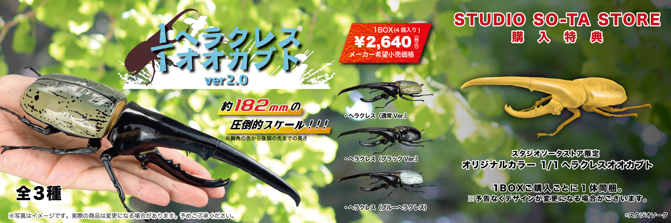 TA出品 スタジオソータストア