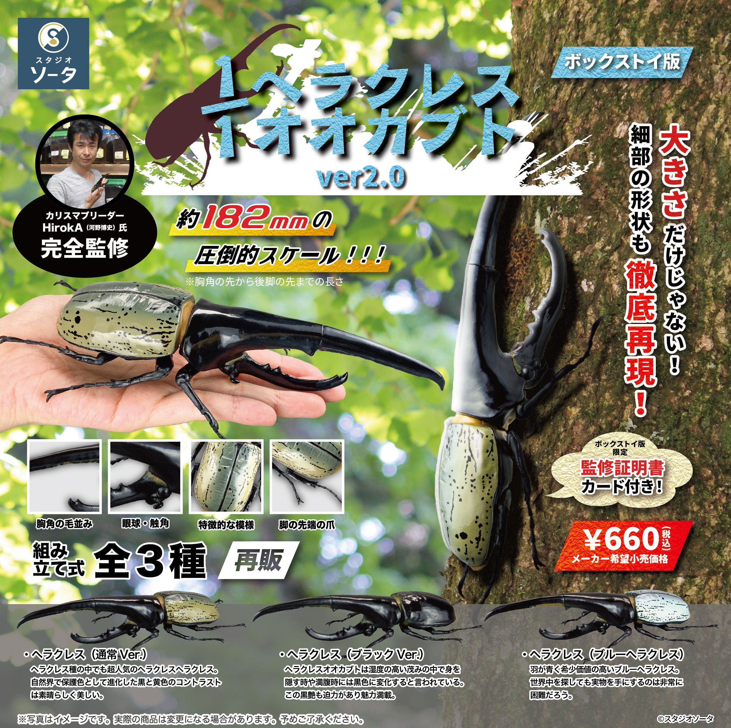 【予約受付中】1/1ヘラクレスオオカブト【1BOX／4個入】《予約：2026年5月下旬発送予定》