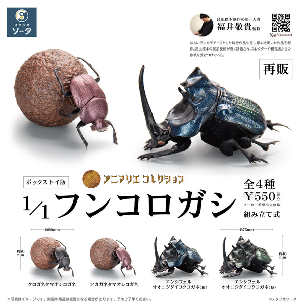 bt-funkorogashi_saihan-