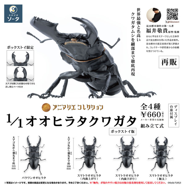 bt-hirata_saihan2026-