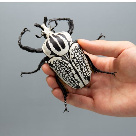 予約受付終了】【4個入りパック】1/1 ゴライアスオオツノハナムグリ