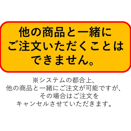 【予約受付終了】博物モデリング俱楽部・壱 1/12ヒト骨格 (再販) 【1BOX／4個入】《予約：2024年3月下旬発売予定》